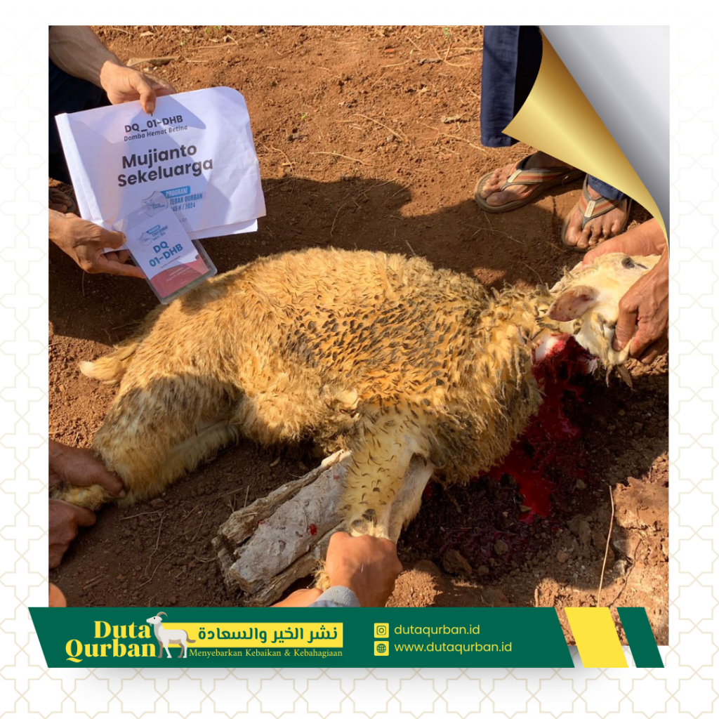 Qurban Paket Hemat - Duta Qurban