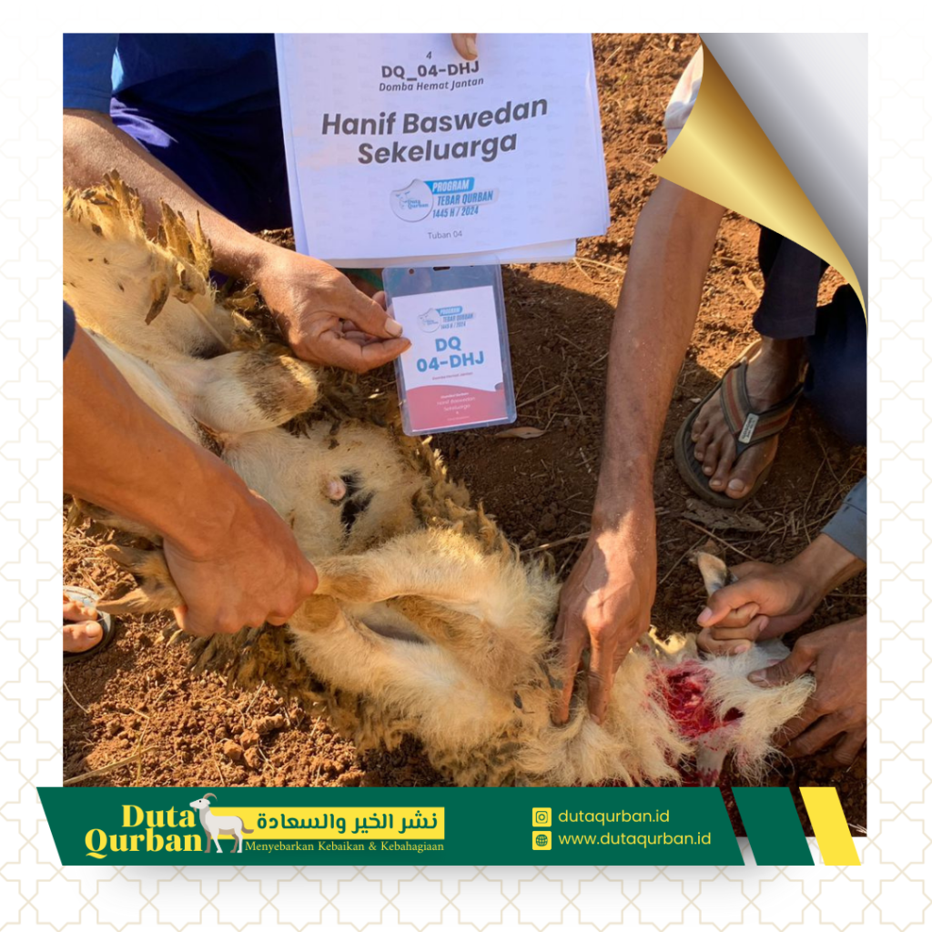 Qurban Paket Hemat - Duta Qurban