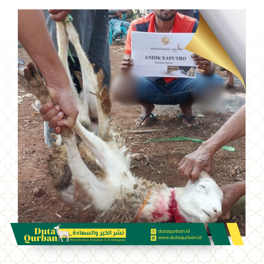 Qurban paket hemat