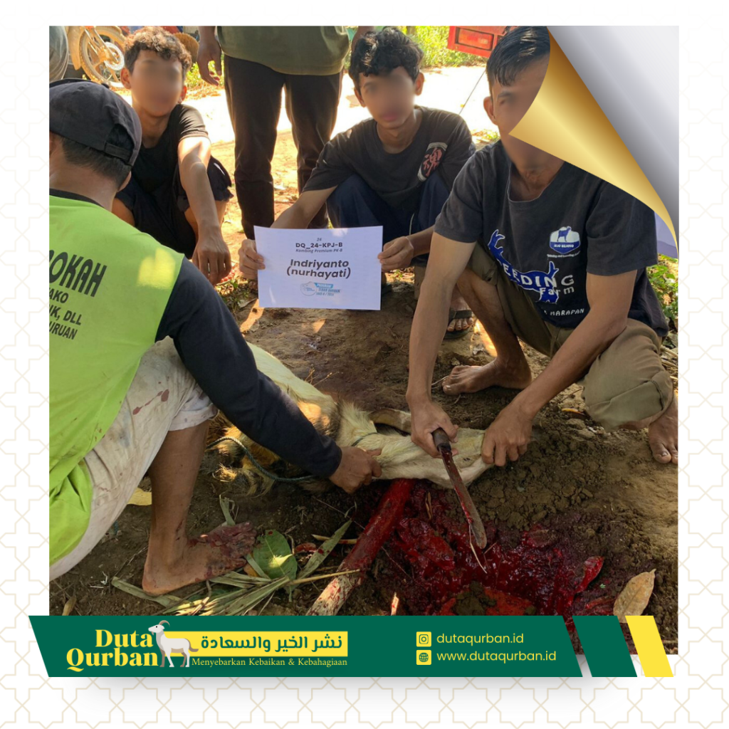 Qurban Paket Hemat - Duta Qurban