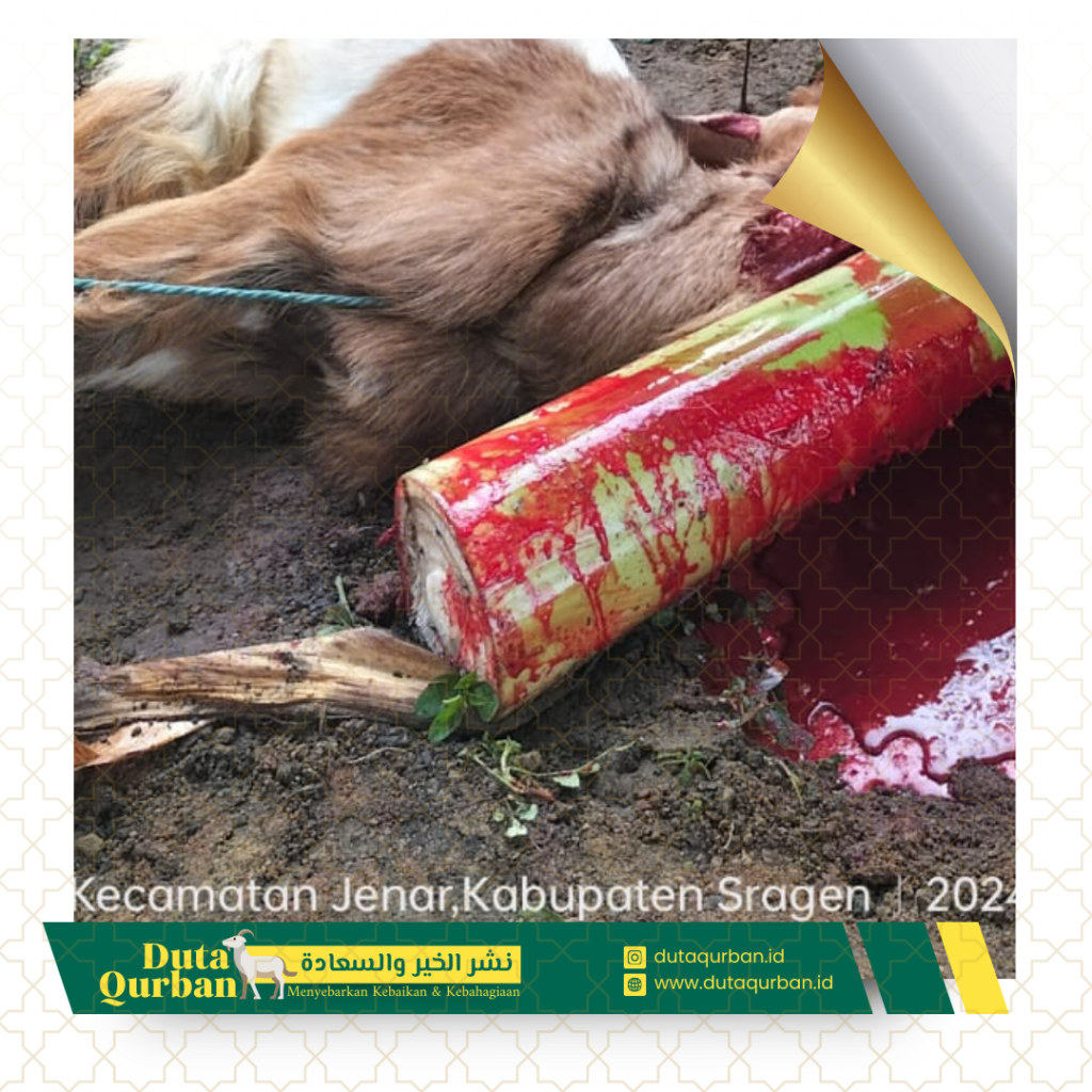 Qurban Paket Hemat - Duta Qurban