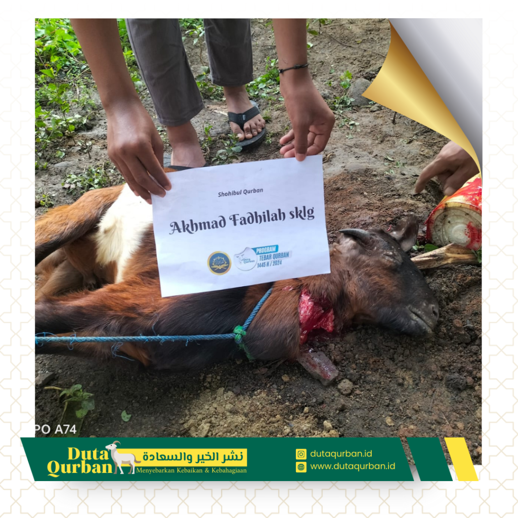 Qurban Paket Hemat - Duta Qurban