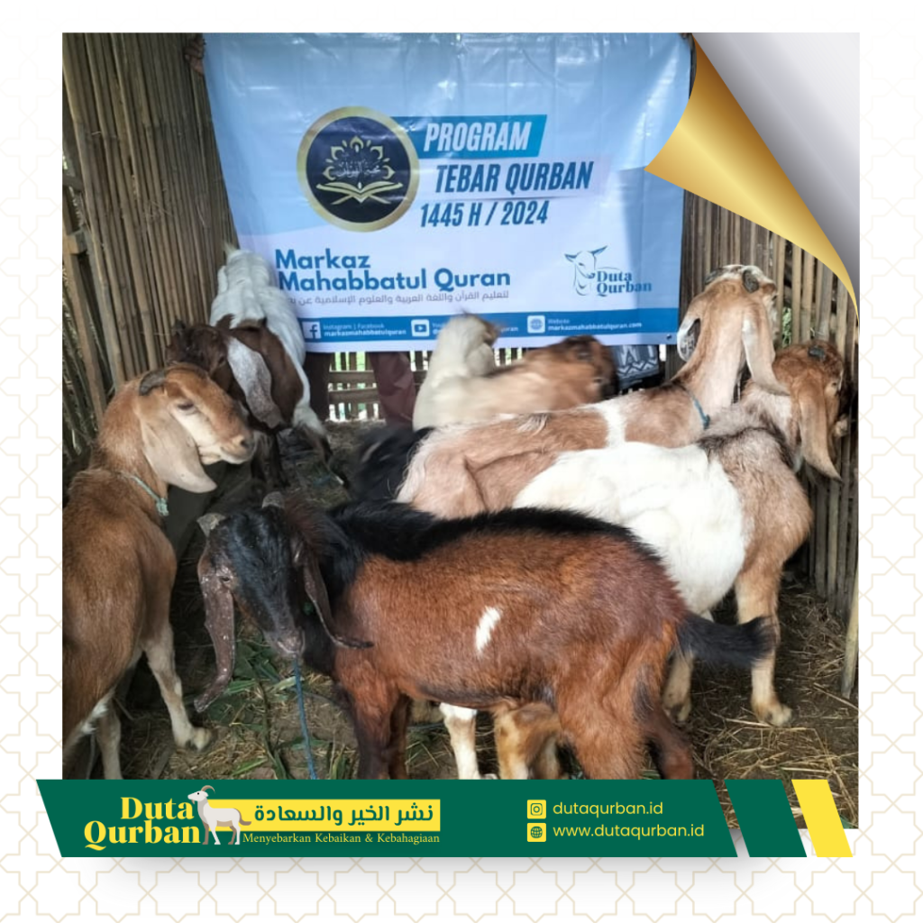 Qurban Paket Hemat - Duta Qurban
