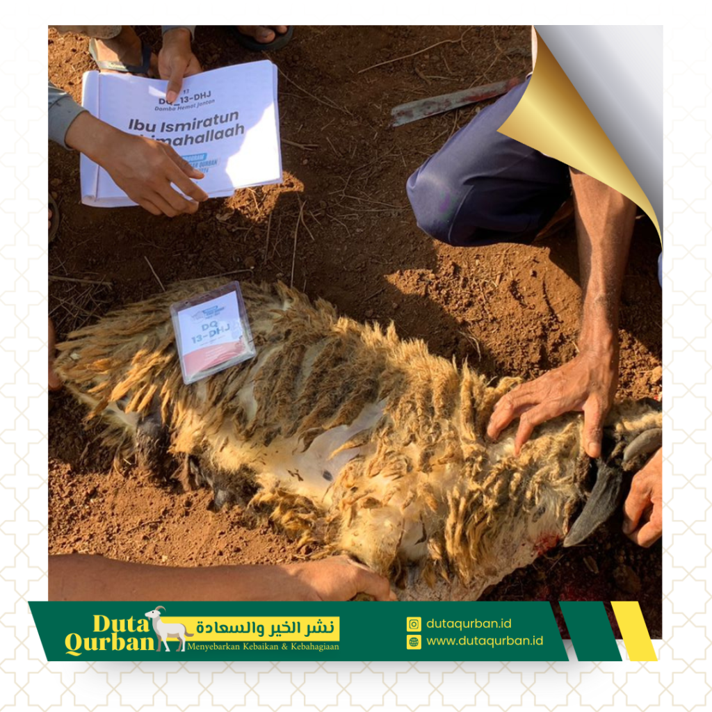 Qurban Paket Hemat - Duta Qurban